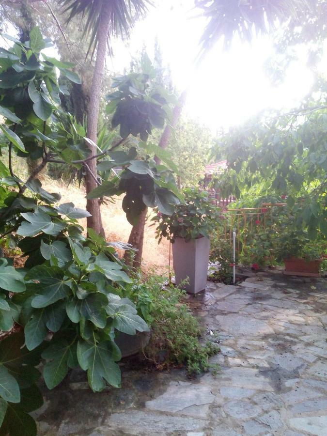 Kampi Double Storey House In The Village Nicosia Luaran gambar